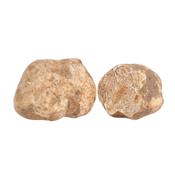 Tartufo bianco pregiato